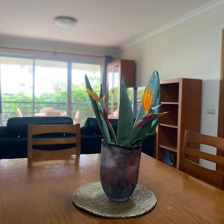 Apartamento Costa Do Sol V فونشال المظهر الخارجي الصورة